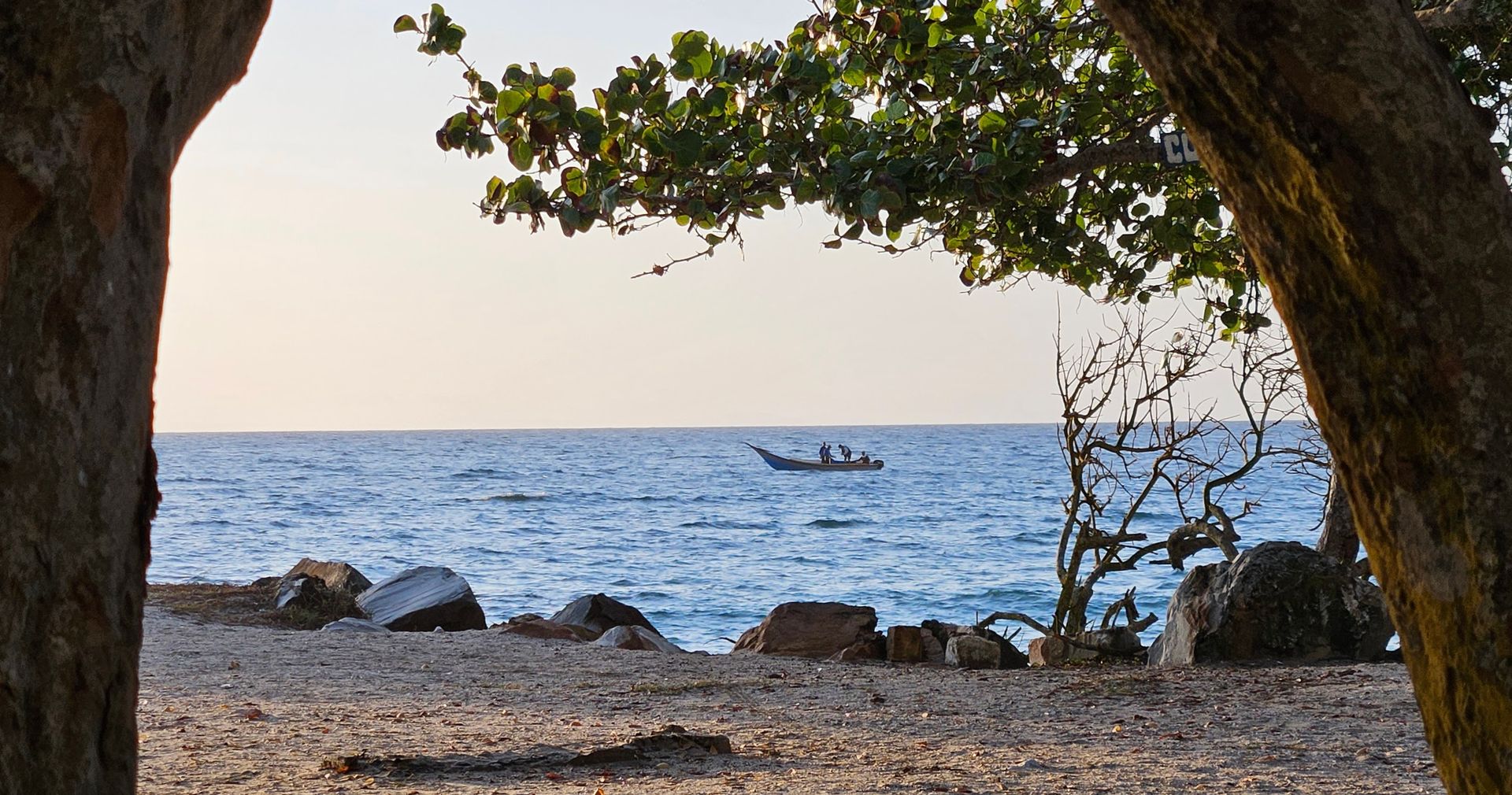 A fishing boat on a calm sea, seen between two tree trunks on a beach in Pampatar, Margarita Island